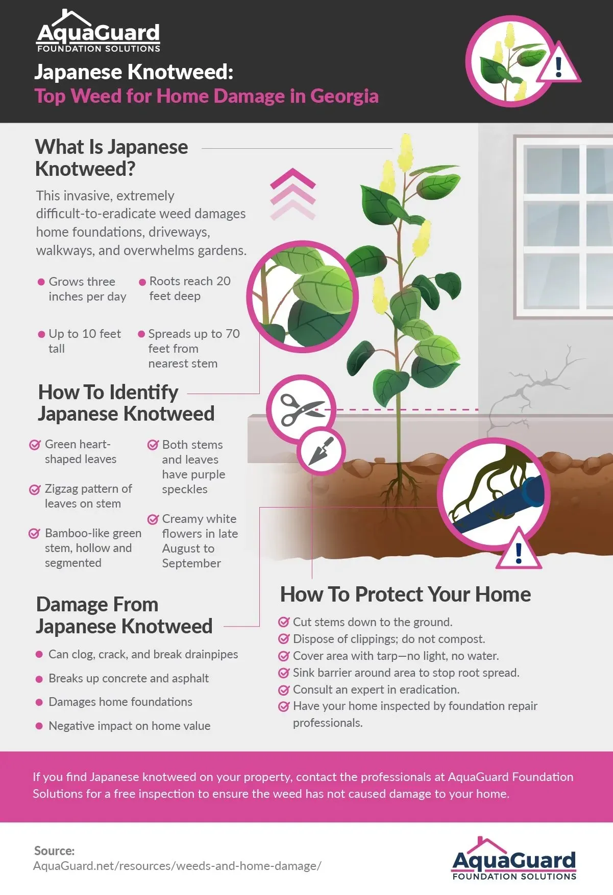 Infographic